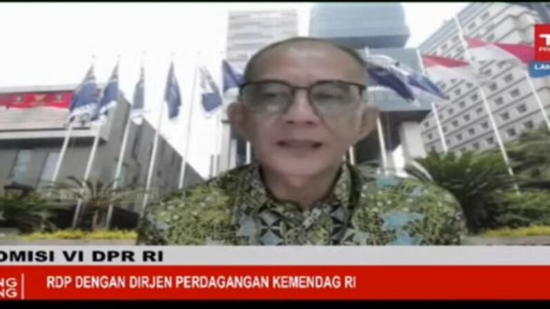 Dirjen Perdagangan Dalam Negeri Kementerian Perdagangan (Kemendag) Oke Nurwan dalam Rapat Dengar Pendapat dengan Komisi VI DPR RI, 24 Maret 2022.