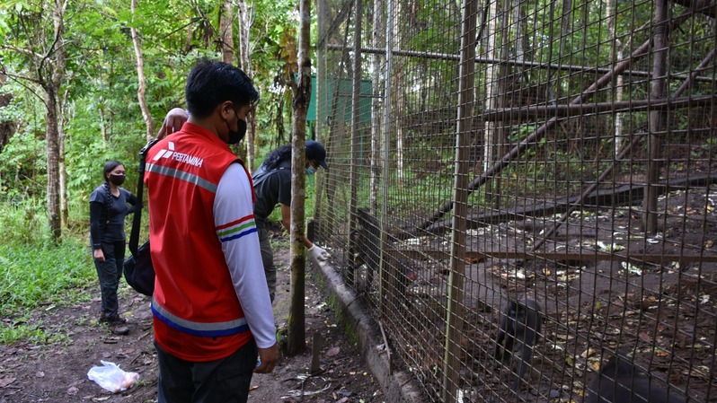 Pusat Rehabilitasi Monyet Yaki di Gunung Masarang, Kelurahan Rurukan, Tomohon.