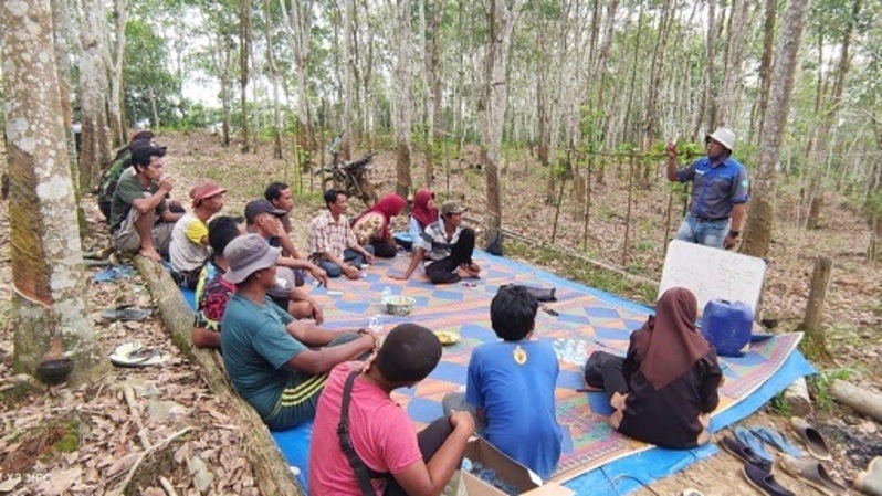 PT Royal Lestari Utama (RLU) perusahaan karet alam mendorong petani karet sekitar kawasan hutan untuk bergabung dalam program pemberdayaan Community Partnership Program (CPP)