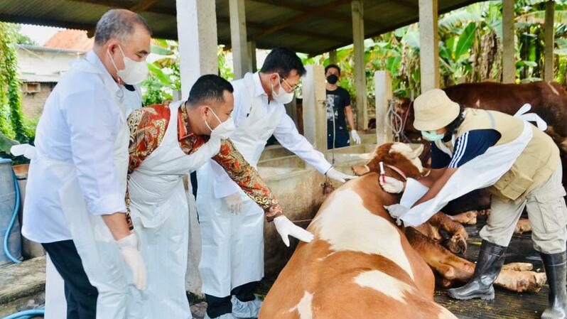 Menteri Pertanian Syahrul Yasin Limpo meninjau peternak dan posko penanganan penyakit mulut dan kuku (PMK) di Gresik. (Foto: Dok. Kementan)
