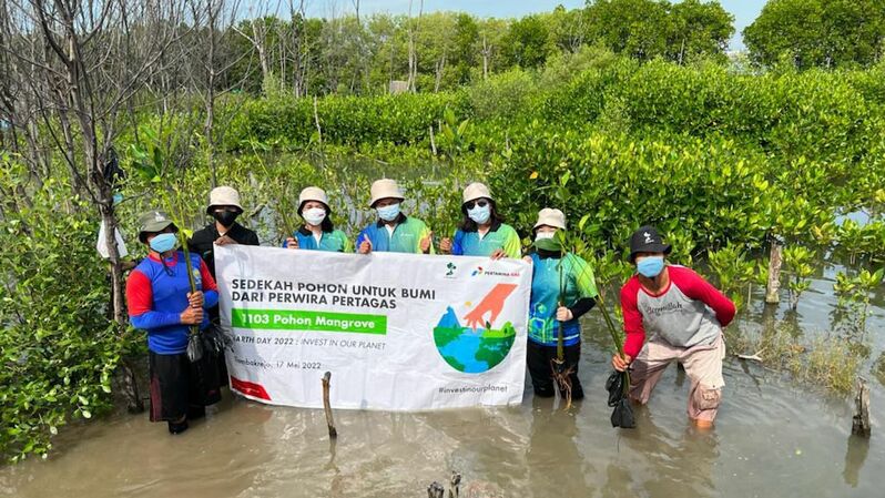 Penanaman bibit mangrove oleh Subholding Gas Pertamina di pesisir Tambakrejo, Semarang, Jawa Tengah, pada Selasa, (17/05). 