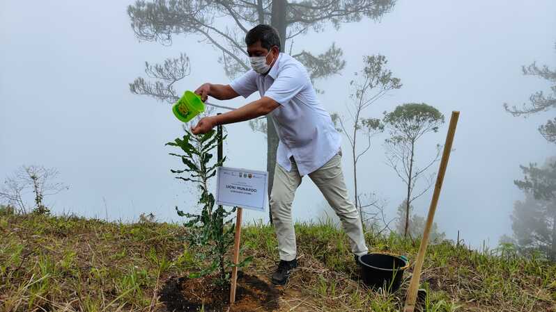 Doni Monardo beserta para bupati, Sekda Prov Sumut, Dandim, Kapolres Karo meluncur ke bukit Gajah Bobok untuk melakukan penanaman pohon macadamia Australia (macadamia integrifolia) di lokasi lahan gundul.