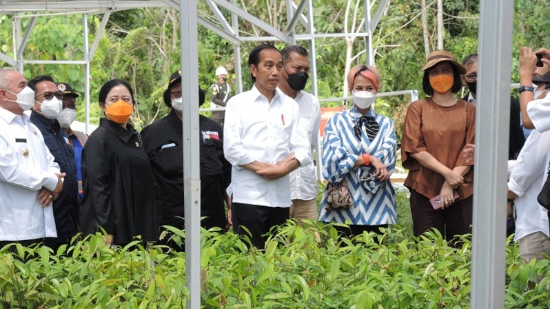 Presiden Joko Widodo (Jokowi) bersama sejumlah pemimpin redaksi media massa nasional, Rabu (22/6/2022), meninjau lokasi Persemaian Mentawir di Desa Mentawir, Kecamatan Sepaku, Kabupaten Penajam Paser Utara, Kalimantan Timur.