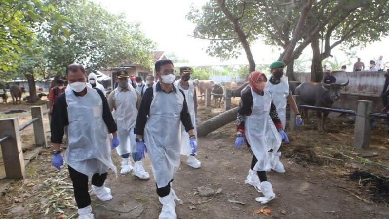 Mentan SYL meninjau pelaksanaan vaksinasi penyakit mulut dan kuku (PMK) di Kabupaten Grobogan sekaligus memberikan bantuan obat-obatan. 
Sumber: Istimewa