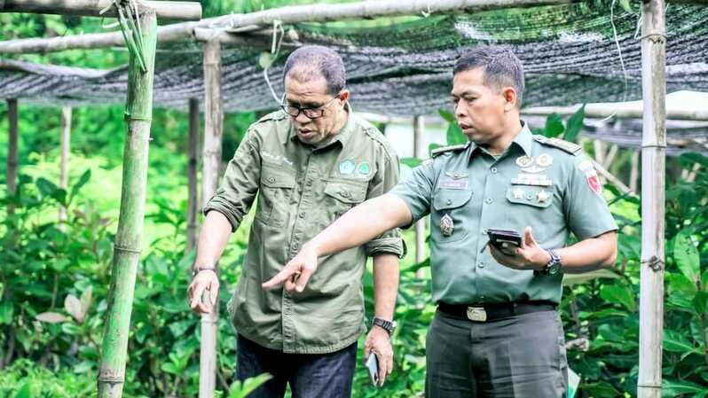 Organisasi Persatuan Purnawirawan TNI Angkatan Darat (PPAD) berkolaborasi dengan MIND ID: menggagas program pembibitan satu juta pohon sukun. Satu juta bibit ini diharapkan tuntas dalam waktu setahun, atau sekitar Juli 2023.
