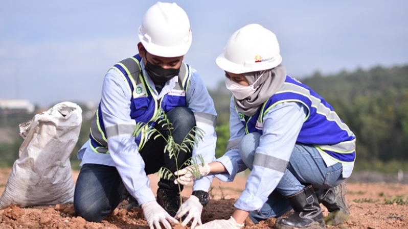 Hingga Juni 2022, PTBA telah menanam 1.333.350 batang pohon di area reklamasi. (Foto: Dok. PTBA)