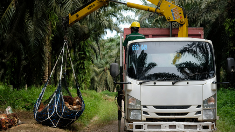 Aktivitas di perkebunan kelapa sawit PT Astra Agro Lestari Tbk (AALI). (Foto: Perseroan)