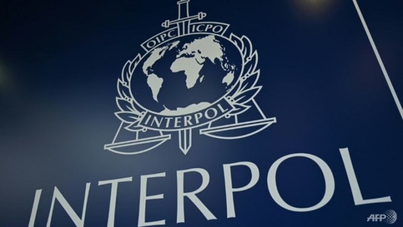 Logo Interpol. (Foto: AFP/Ozan KOSE)