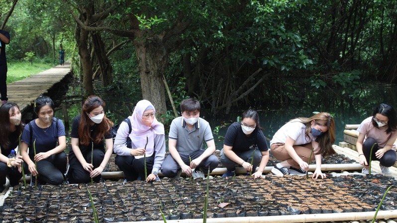 Universitas Prasetiya Mulya melakukan gerakan penanaman 1.454 bibit mangrove di Kawasan Mangrove Pulau Harapan dan Taman Wisata Alam Mangrove Angke, Kapuk, Jakarta.