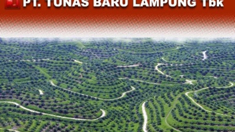Tunas Baru Lampung. Foto: vibiznews.com