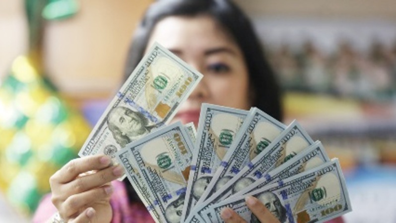 Teller menghitung mata uang dolar AS di salah satu money changer di Jakarta. Foto ilustrasi:  Investor Daily/DAVID GITA ROZA