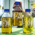 B35 to Spur 2 Million-Ton Increase in Domestic Palm Oil Demand