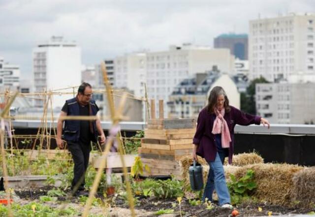 Urban Farms 'Critical' to Combat Hunger and Adapt to Climate Change