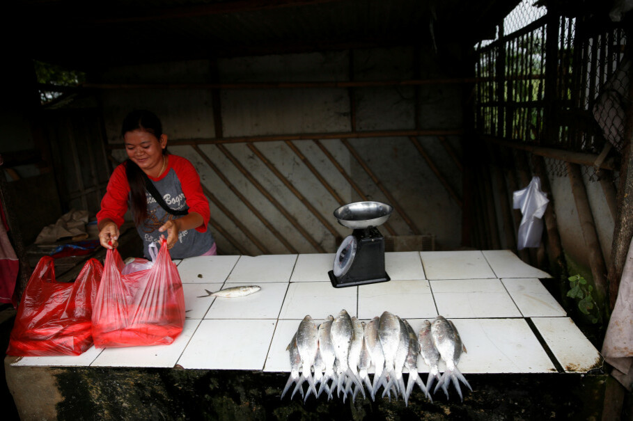 A woman sells saltwater fish from the Java Sea at her roadside stand next to the Citarum River, southeast of Muara Gembong, West Java. (Reuters Photo/Darren Whiteside)