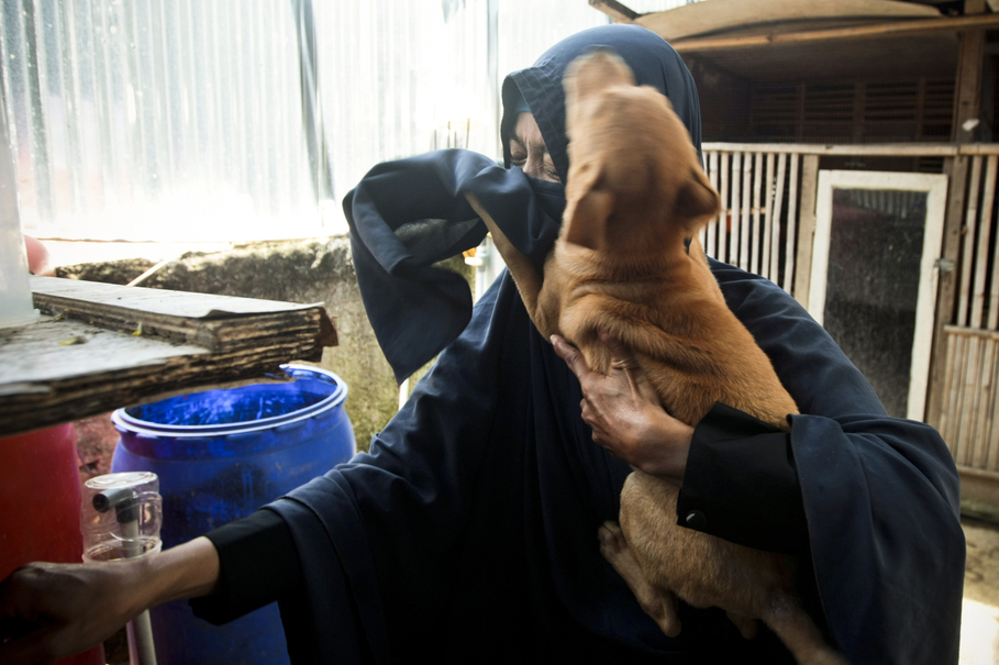 Hesti believes Islam compels her to take care after stray dogs she finds on the street. (JG Photo / Yudha Baskoro)