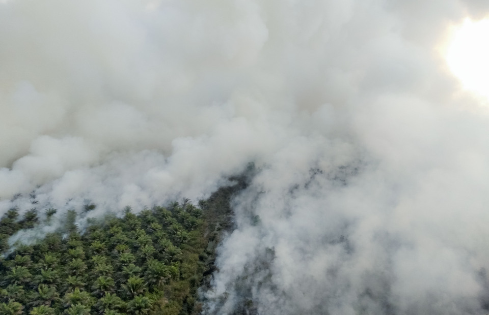 Aerial view during forest fires in North Indralaya, Ogan Ilir, South Sumatera on Friday (13/09). (Antara Photo/Nathan)