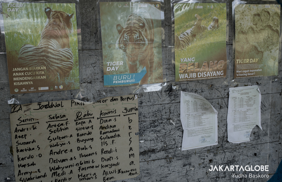 Tiger day celebration posters attach at Way Haru Elementary School in Lampung on Thursday (23/01) The school will celebrate Tiger Day that falls every July 29th. (JG Photo/Yudha Baskoro)