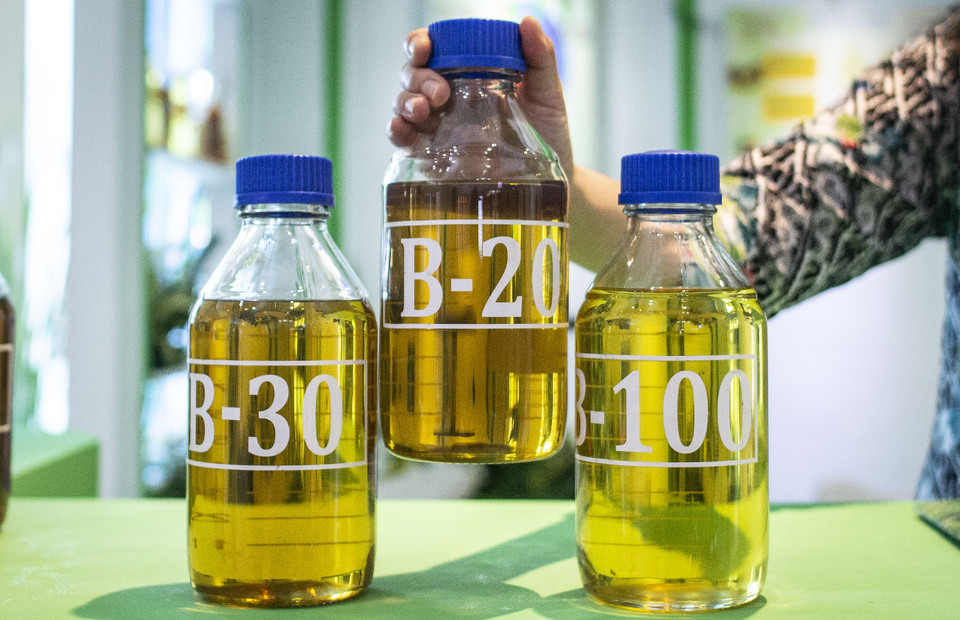 Indonesia's Thirst for Biodiesel May Undercut Global Palm Oil Supply