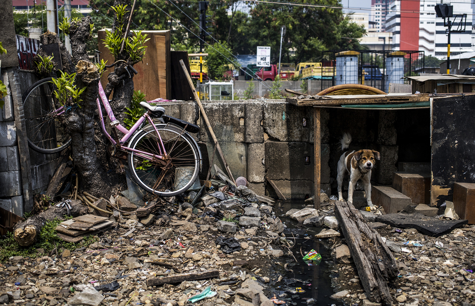 A dog and broken bike stranded at Kampung Bandan, North Jakarta on Monday (20/07). (JG Photo/Yudha Baskoro)