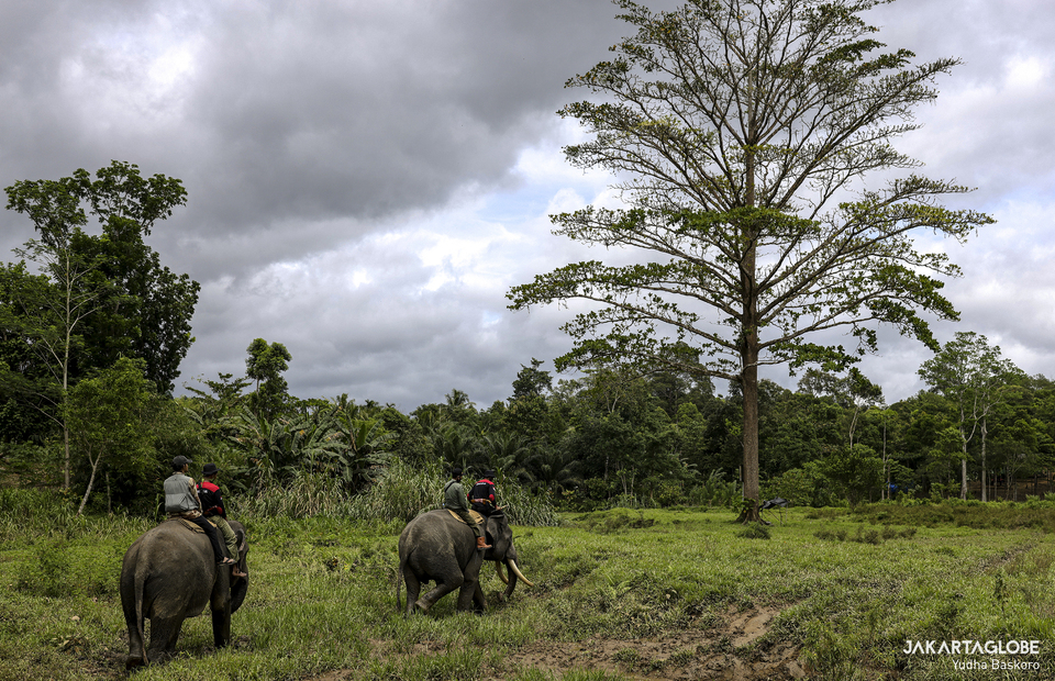 Two elephant patrol unit stand on guard near Pemerihan Resort at Bukit Barisan Selatan National Park in Lampung on Friday (11/12). (JG Photo/Yudha Baskoro)