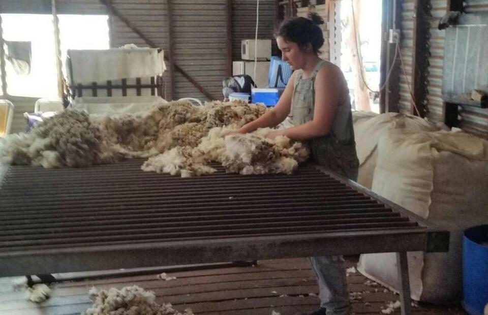 A woman works as a rouseabout during shearing time at Amaroo farm, Muntadgin, Western Australia. (JG Photo/Meleva Thorn)