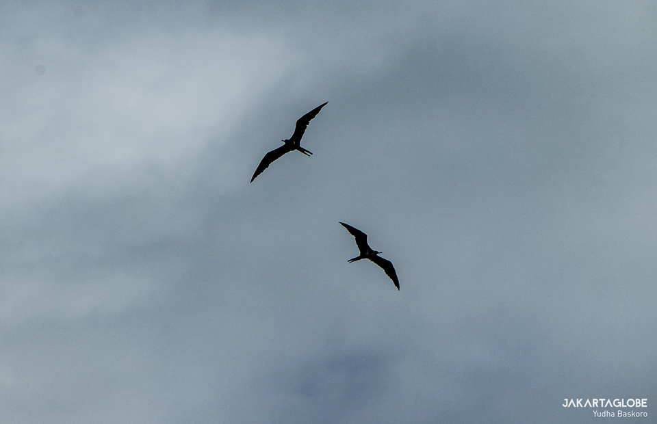 Birds are seen fly above the Seram Sea, Maluku Province on October 30, 2021. (JG Photo/Yudha Baskoro)