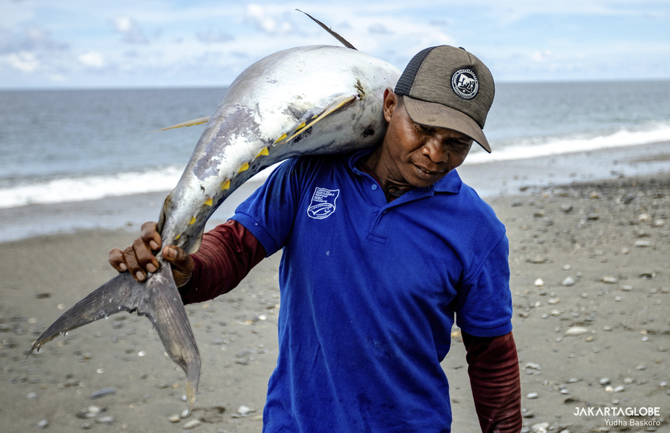 Umar Papalia carries a yellow fin tuna on his back at Waepure, Maluku Province on October 30, 2021. (JG Photo/Yudha Baskoro)