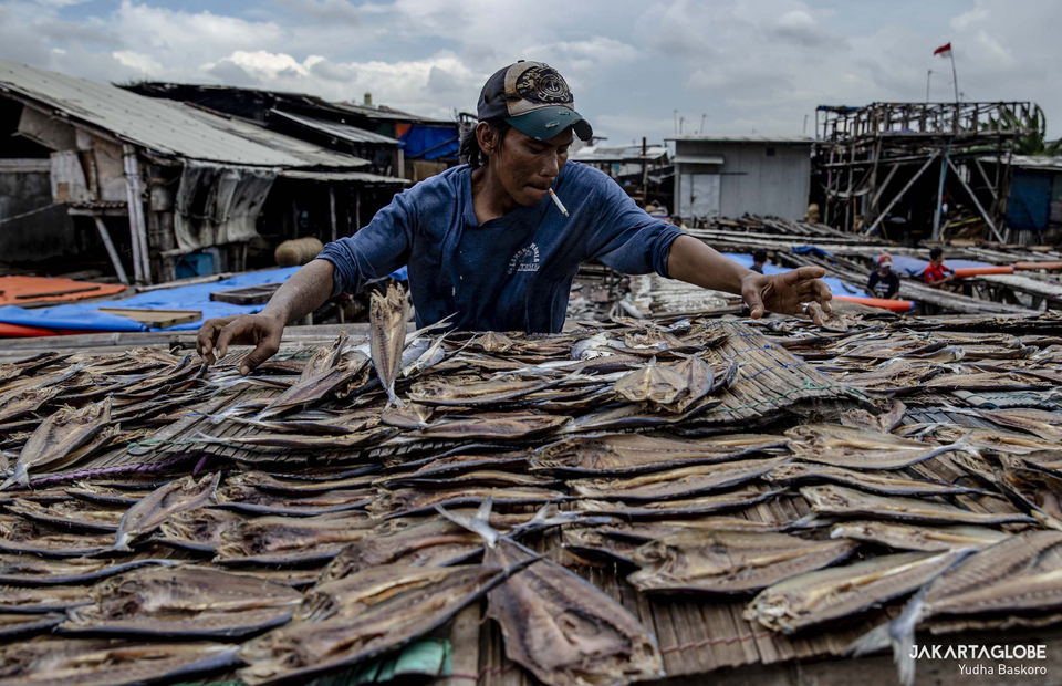 A man dries fishes at Kali Baru Village, Cilincing, North Jakarta on March 2, 2022. (JG Photo/Yudha Baskoro)