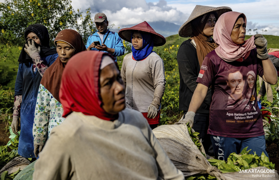 A tea farmers are seen at a tea plantation at Tugu Utara Village in Bogor, West Java on June 2, 2022. (JG Photo/Yudha Baskoro)